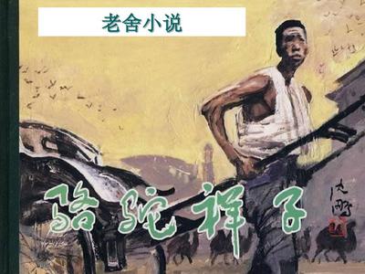 狼友视频不迷路官网
